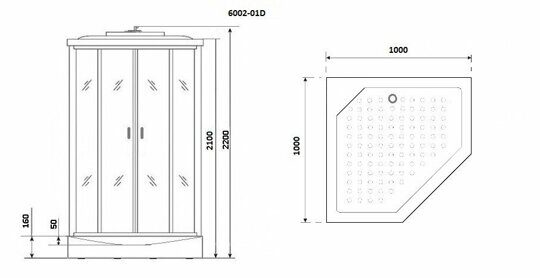 Душевая кабина Niagara NG-6002-01D (1000х1000х2200) низкий поддон(16 см) стекло ПРОЗРАЧНОЕ, 4 места